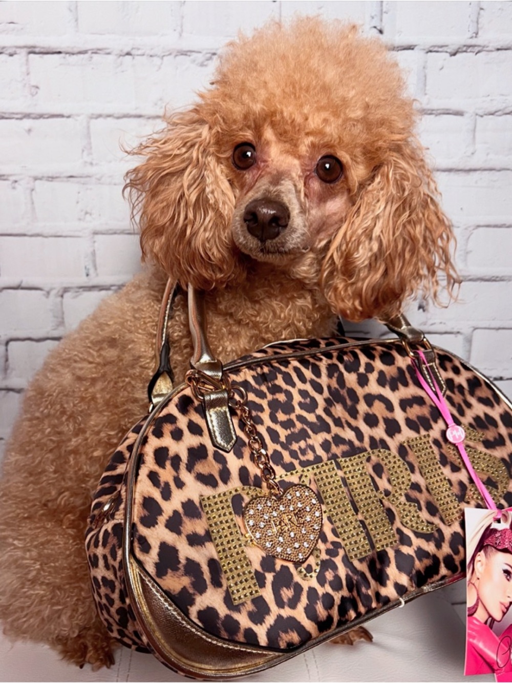 NWT Paris Hilton Leopard Print Purse with Gold Accents (modeled by Bambi)